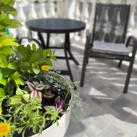Apartman Jamice *